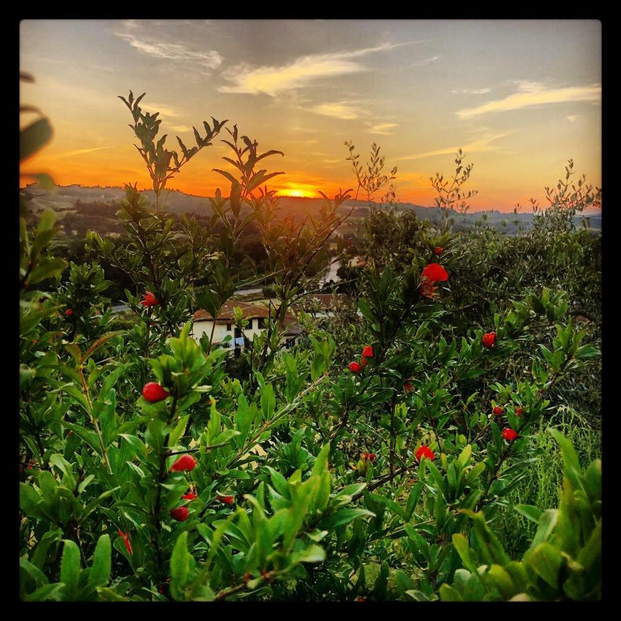 Agriturismo Casale Ugolini Montespertoli Dış mekan fotoğraf
